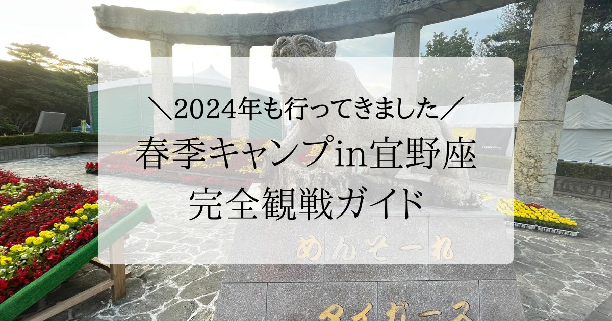 2024年宜野座キャンプのアイキャッチ画像